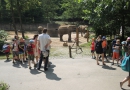 Výlet za kaštany - ZOO Zlín