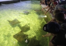 Výlet za kaštany - ZOO Zlín