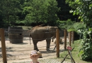 Výlet za kaštany - ZOO Zlín